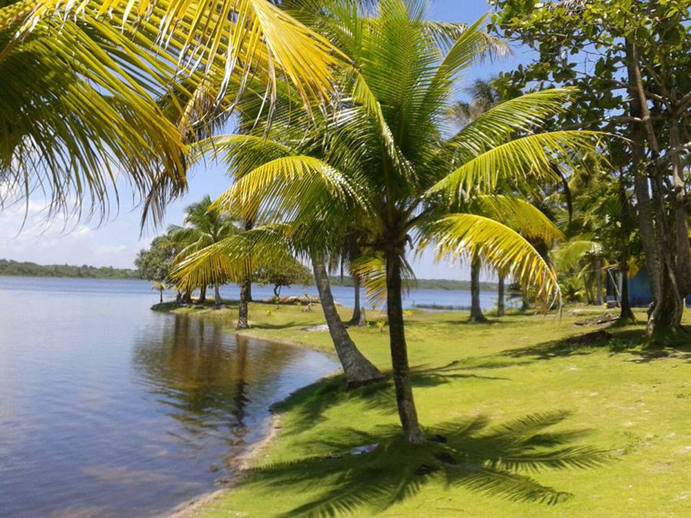 Htl Tubarao Hotel Barra Grande  Eksteriør billede