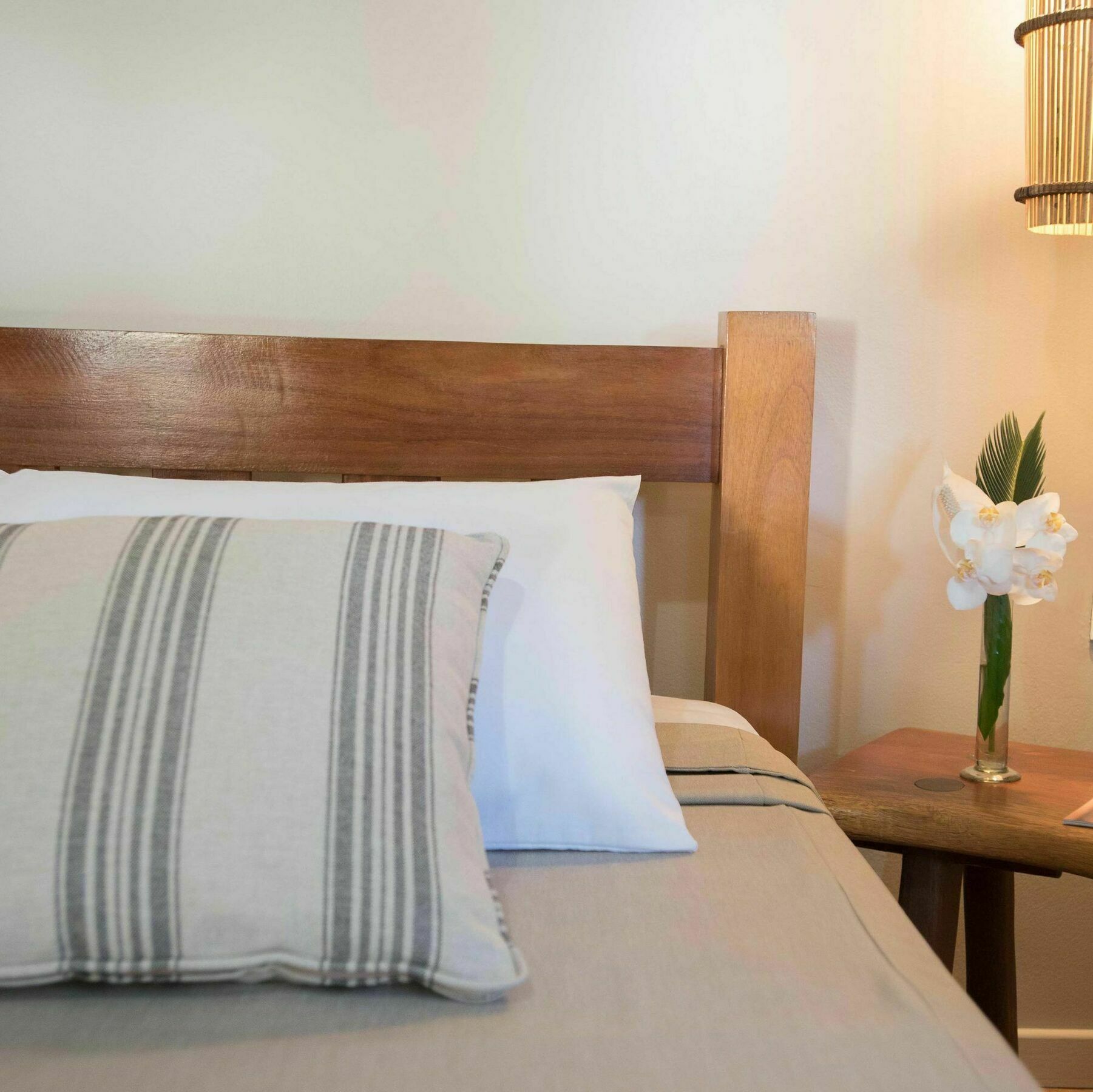 Htl Tubarao Hotel Barra Grande  Eksteriør billede
