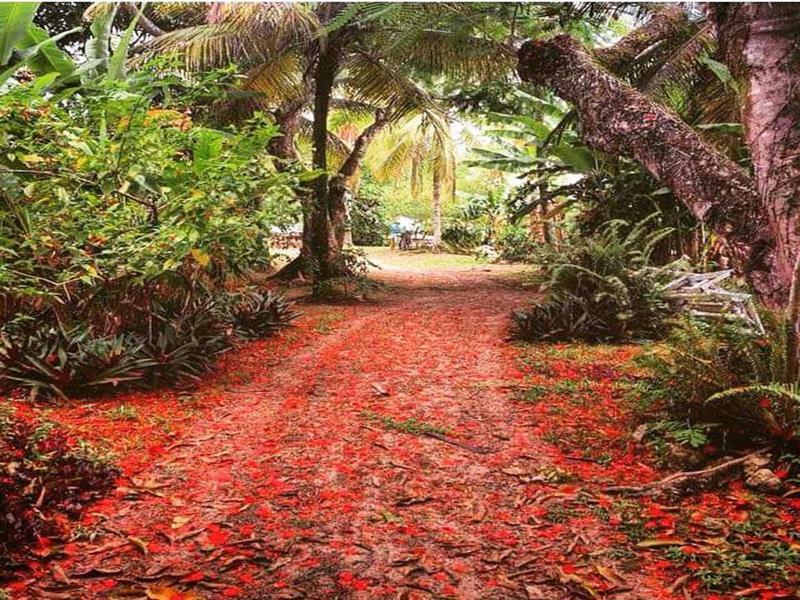 Htl Tubarao Hotel Barra Grande  Eksteriør billede
